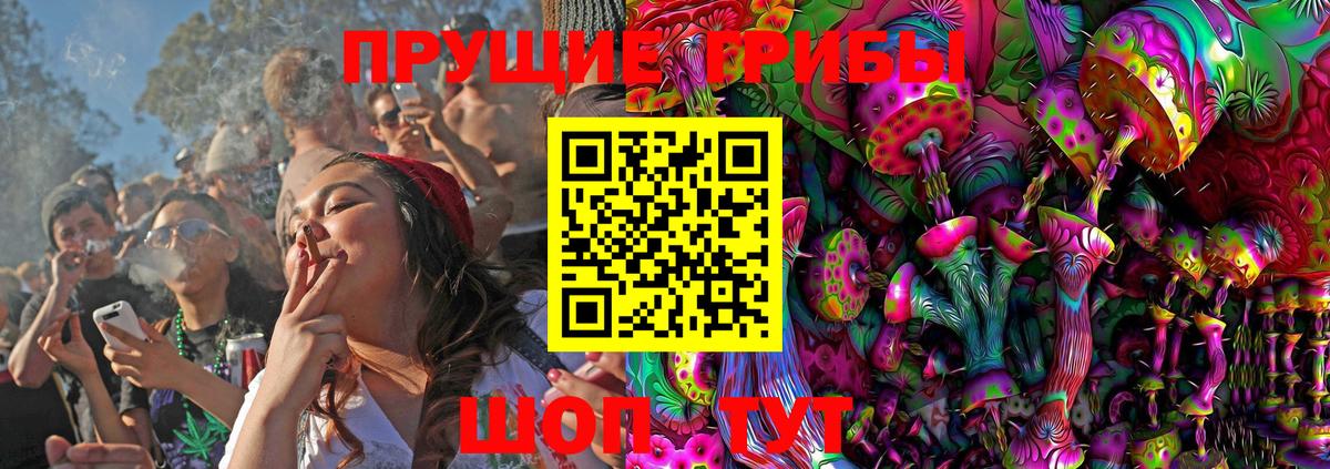 Куйбышев  Псилоцибиновые грибы GOLDEN TEACHER  Вход с VPN 